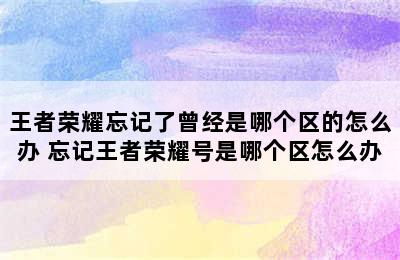 王者荣耀忘记了曾经是哪个区的怎么办 忘记王者荣耀号是哪个区怎么办